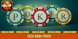 Bật Mí Cách Đánh Poker Siêu Hiệu Quả Dành Cho Tân Binh