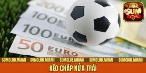 Kèo Chấp Nửa Trái | Tiết Lộ 3 Chiến Thuật Bất Bại Cho Newbie