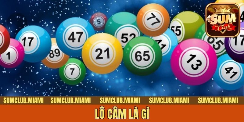 Lô Câm Là Gì? Tổng Hợp 5 Bí Kíp Soi Cầu Trăm Trận Trăm Trúng