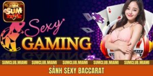 Sảnh Sexy Baccarat - Thiên Đường Giải Trí Không Thể Lỡ